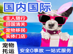 信阳明港航空托运国际宠物托运 【国